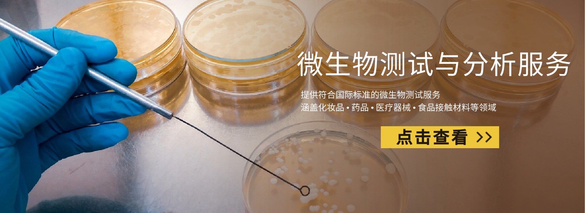 微生物测试与分析服务(图1) 抗菌/抑菌性能检测(图1)